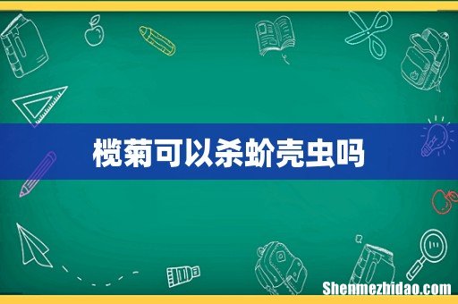 榄菊可以杀蚧壳虫吗