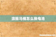 浪鲸马桶怎么换电池