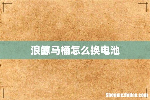 浪鲸马桶怎么换电池