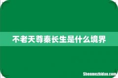 不老天尊秦长生是什么境界