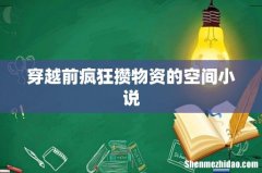 穿越前疯狂攒物资的空间小说