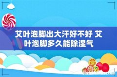 艾叶泡脚出大汗好不好 艾叶泡脚多久能除湿气