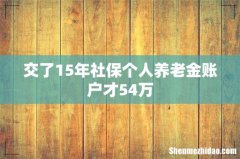 交了15年社保个人养老金账户才54万