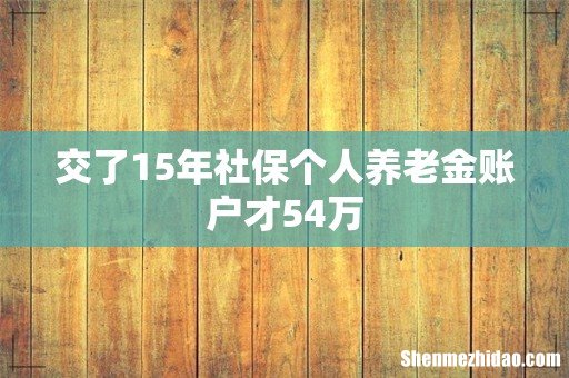 交了15年社保个人养老金账户才54万