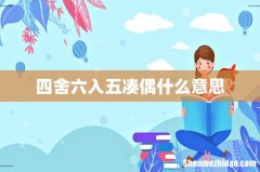 四舍六入五凑偶什么意思