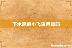 下水道的小飞虫有毒吗