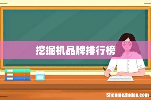 挖掘机品牌排行榜