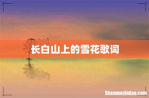 长白山上的雪花歌词