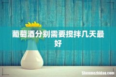 葡萄酒分别需要搅拌几天最好