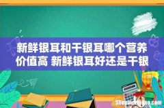 新鲜银耳和干银耳哪个营养价值高 新鲜银耳好还是干银耳好