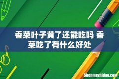 香菜叶子黄了还能吃吗 香菜吃了有什么好处
