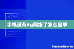 手机没有4g网络了怎么回事
