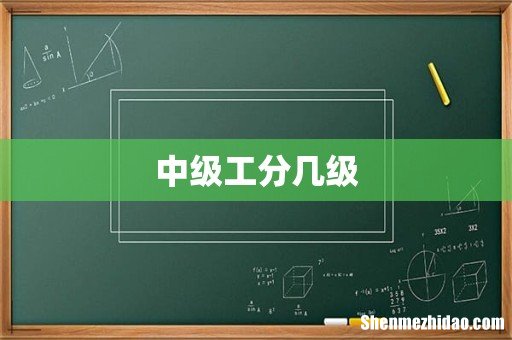 中级工分几级