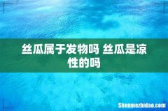 丝瓜属于发物吗 丝瓜是凉性的吗