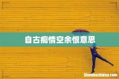 自古痴情空余恨意思