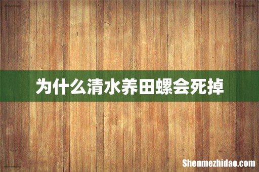 为什么清水养田螺会死掉