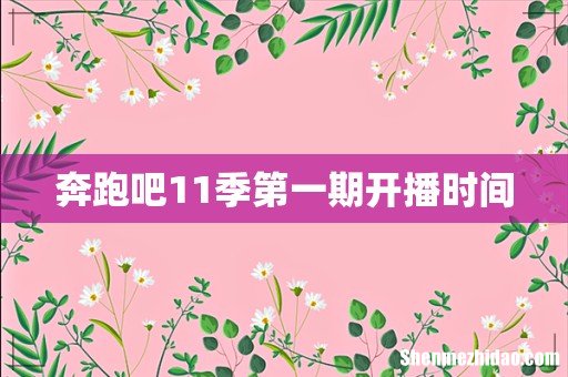 奔跑吧11季第一期开播时间