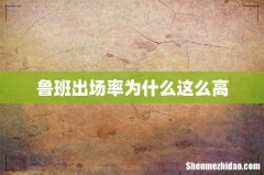 鲁班出场率为什么这么高