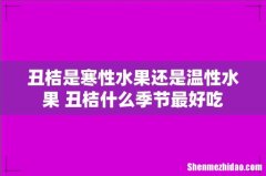 丑桔是寒性水果还是温性水果 丑桔什么季节最好吃