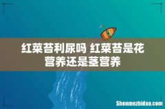 红菜苔利尿吗 红菜苔是花营养还是茎营养