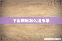 下雨地里怎么掰玉米