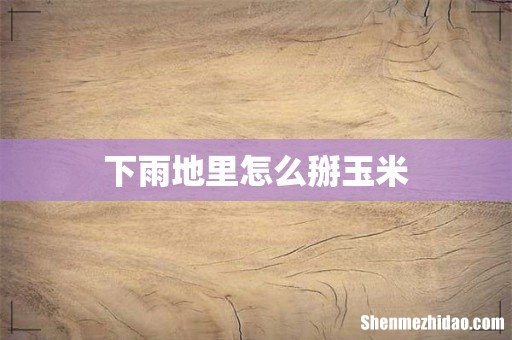 下雨地里怎么掰玉米