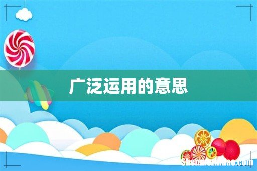广泛运用的意思
