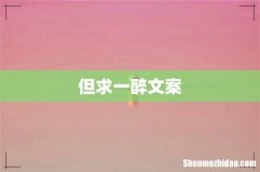 但求一醉文案