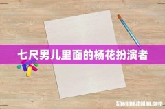 七尺男儿里面的杨花扮演者