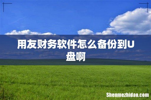 用友财务软件怎么备份到U盘啊