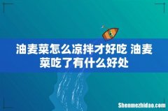 油麦菜怎么凉拌才好吃 油麦菜吃了有什么好处