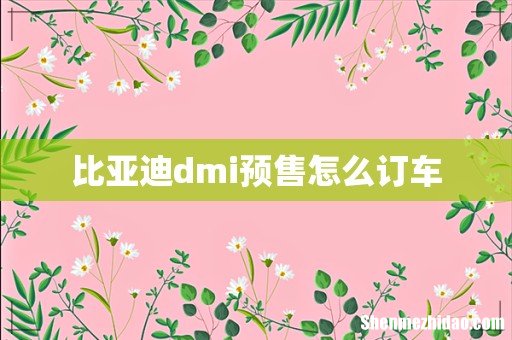 比亚迪dmi预售怎么订车