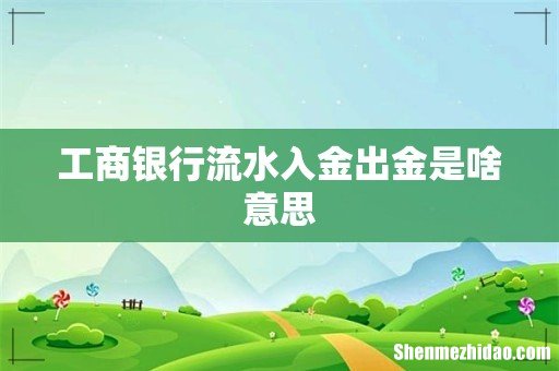 工商银行流水入金出金是啥意思