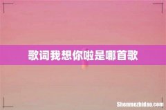 歌词我想你啦是哪首歌