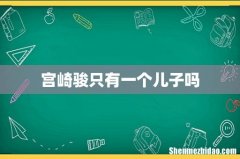 宫崎骏只有一个儿子吗