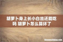 胡萝卜身上长小白丝还能吃吗 胡萝卜怎么算坏了