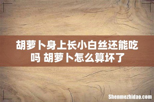 胡萝卜身上长小白丝还能吃吗 胡萝卜怎么算坏了