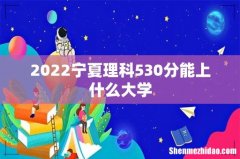2022宁夏理科530分能上什么大学