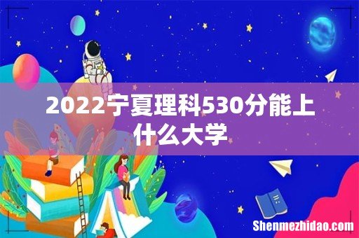 2022宁夏理科530分能上什么大学