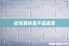 欲穷其林是不是成语