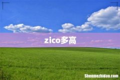 zico多高