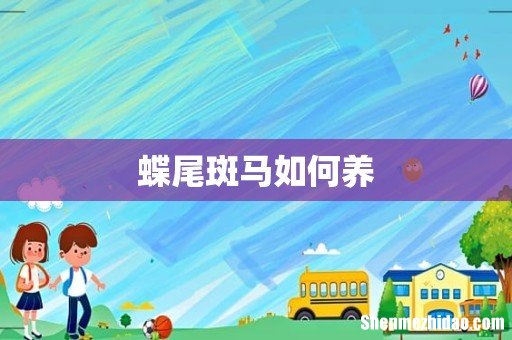 蝶尾斑马如何养