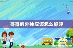 哥哥的外孙应该怎么称呼