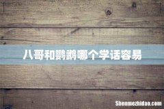 八哥和鹦鹉哪个学话容易