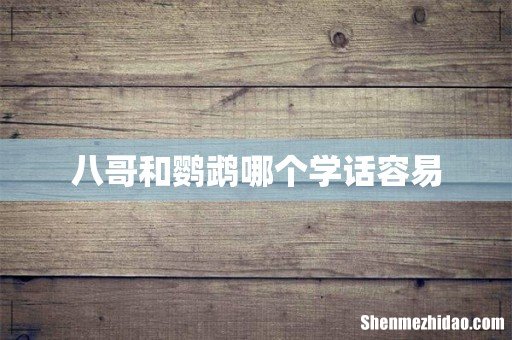 八哥和鹦鹉哪个学话容易