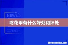 吃花甲有什么好处和坏处
