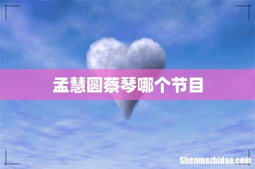 孟慧圆蔡琴哪个节目