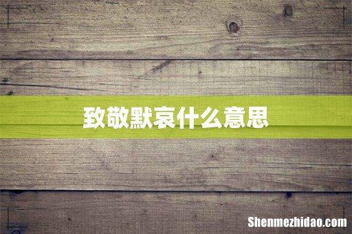 致敬默哀什么意思