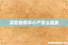 深宫曲假孕小产怎么触发