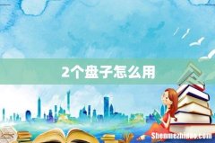 2个盘子怎么用